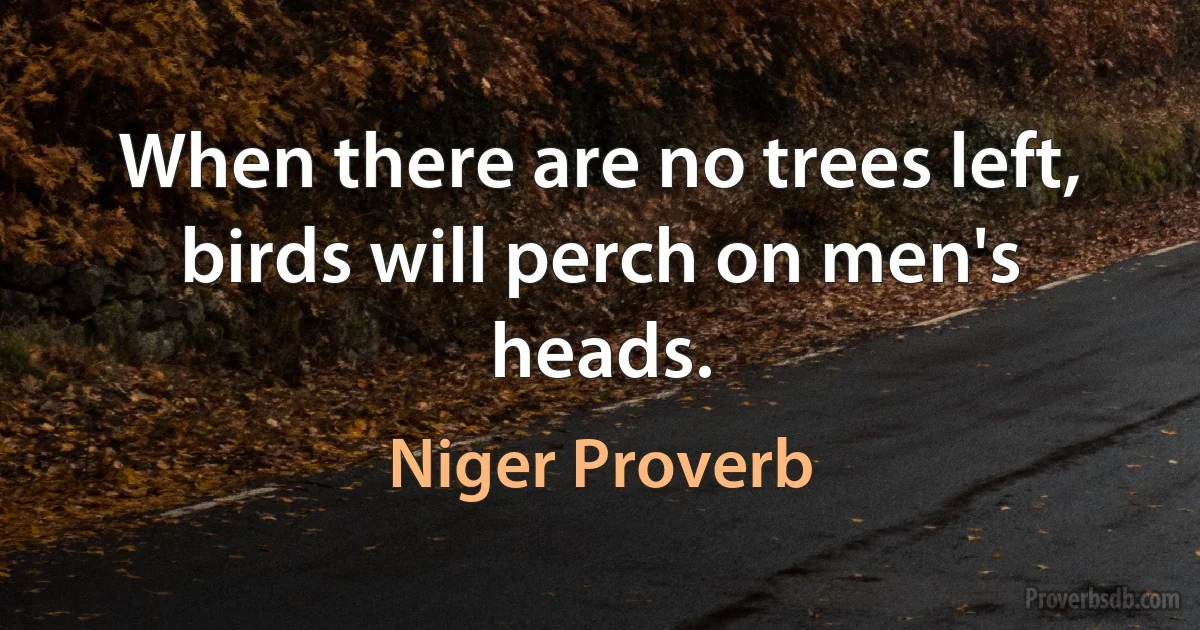 When there are no trees left, birds will perch on men's heads. (Niger Proverb)