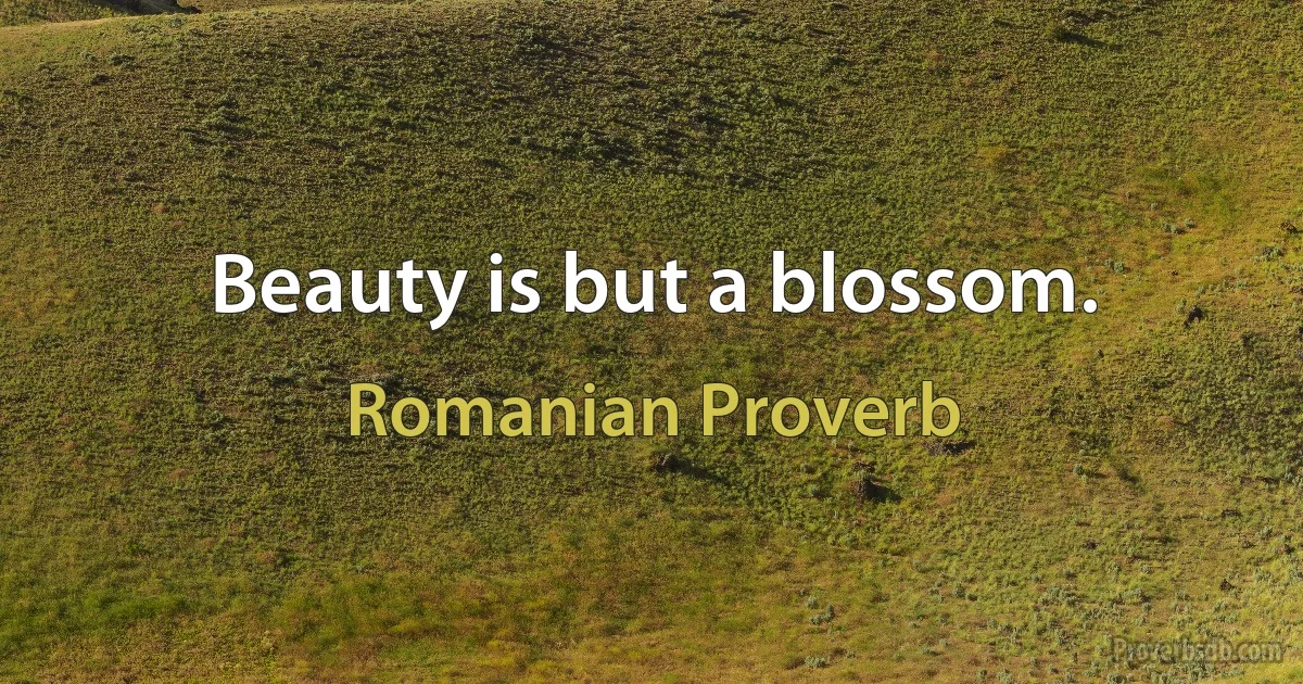 Beauty is but a blossom. (Romanian Proverb)