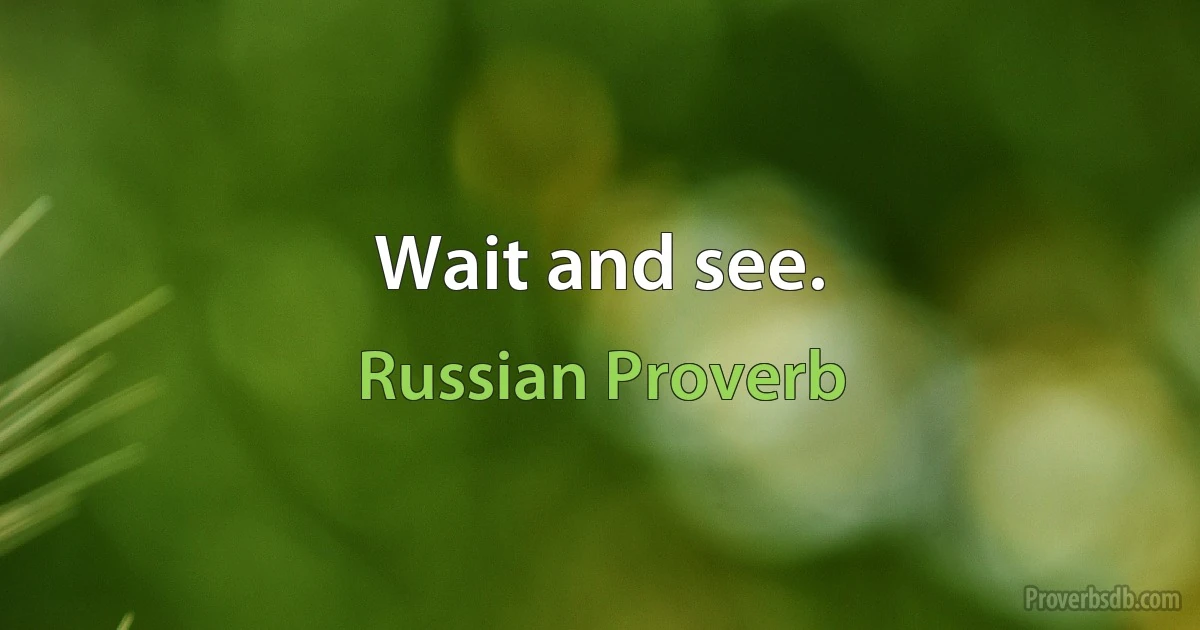 Wait and see. (Russian Proverb)