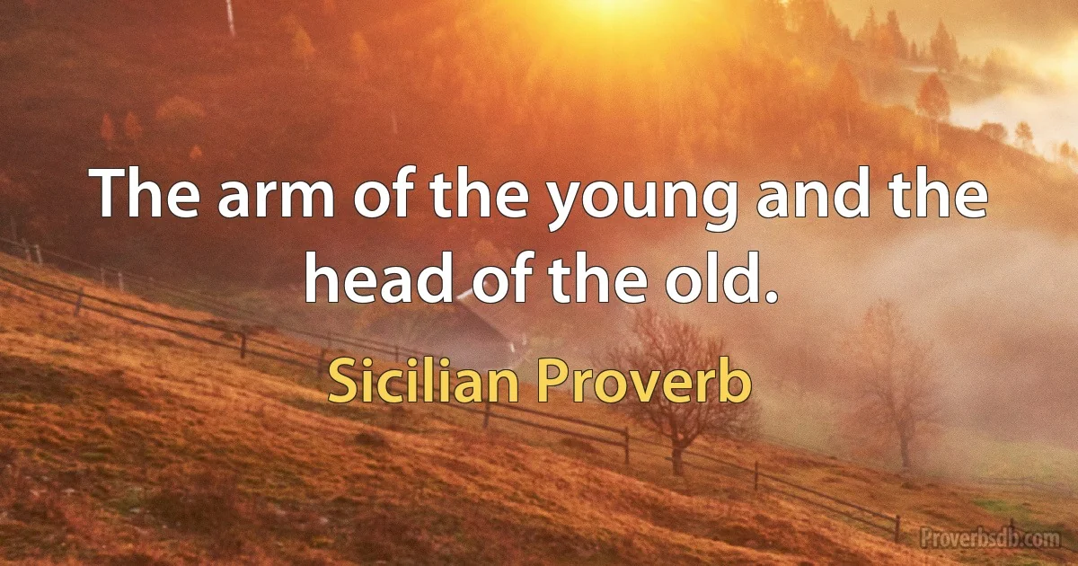 The arm of the young and the head of the old. (Sicilian Proverb)