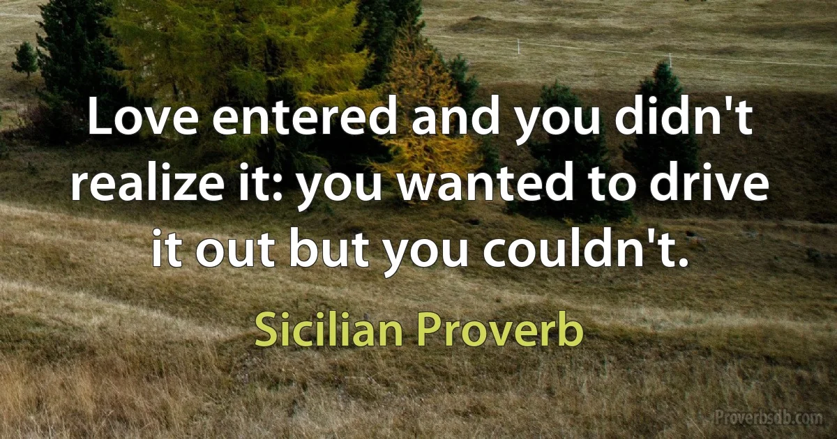 Love entered and you didn't realize it: you wanted to drive it out but you couldn't. (Sicilian Proverb)