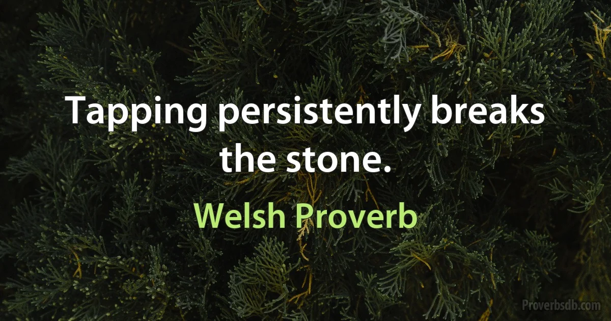 Tapping persistently breaks the stone. (Welsh Proverb)