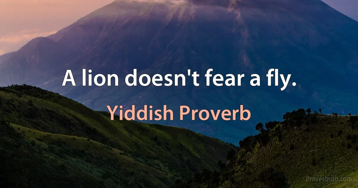 A lion doesn't fear a fly. (Yiddish Proverb)