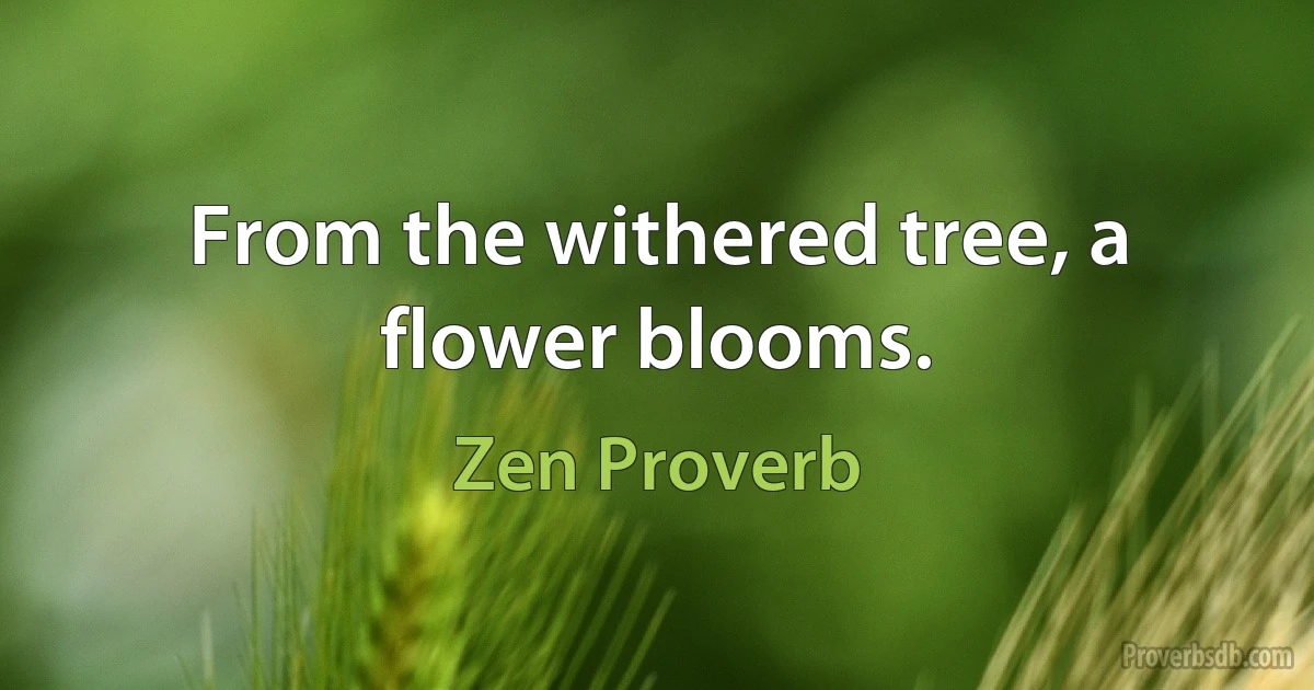 From the withered tree, a flower blooms. (Zen Proverb)