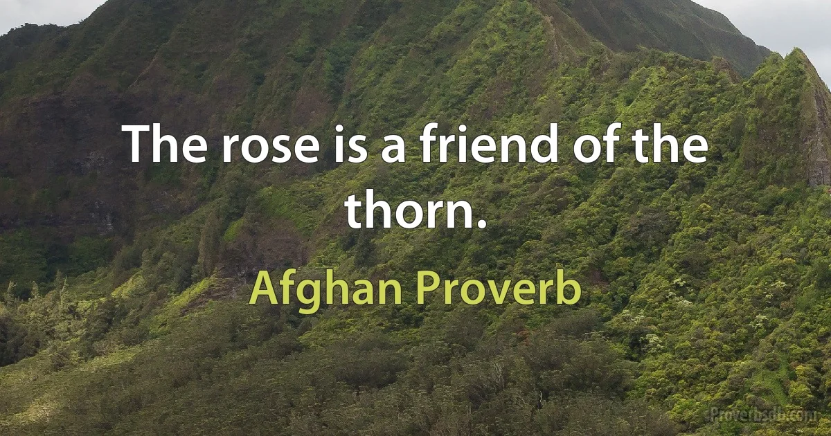 The rose is a friend of the thorn. (Afghan Proverb)