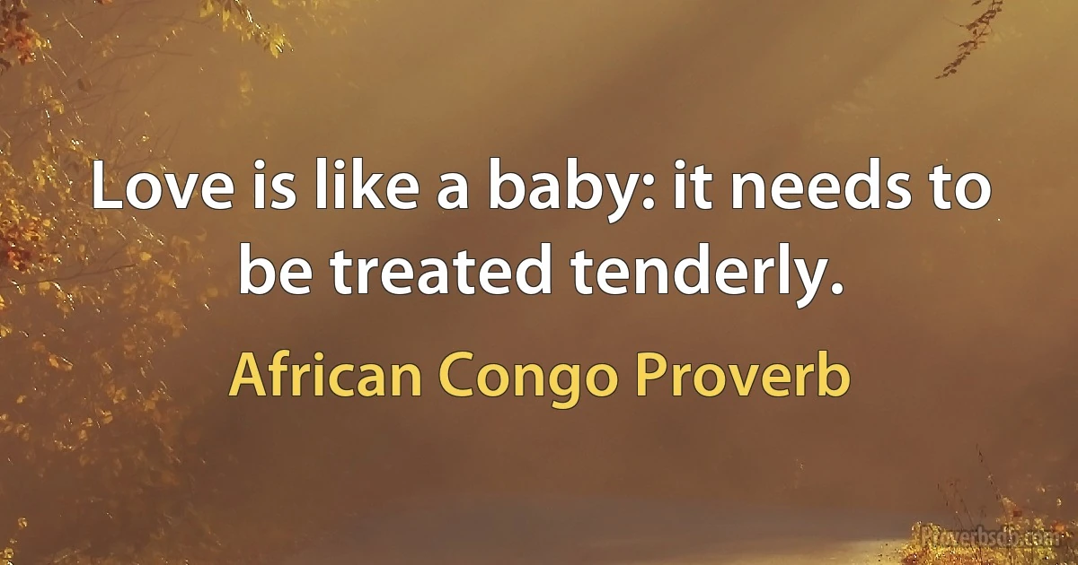 Love is like a baby: it needs to be treated tenderly. (African Congo Proverb)