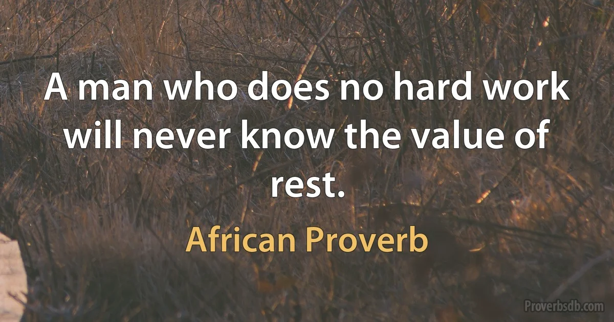 A man who does no hard work will never know the value of rest. (African Proverb)