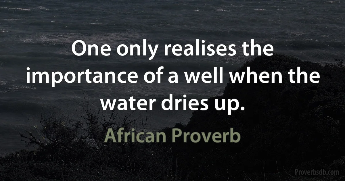 One only realises the importance of a well when the water dries up. (African Proverb)