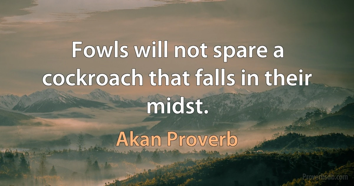 Fowls will not spare a cockroach that falls in their midst. (Akan Proverb)