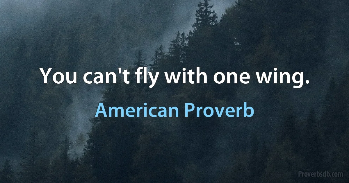 You can't fly with one wing. (American Proverb)