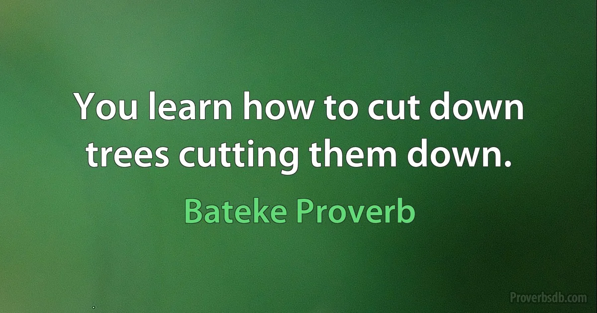 You learn how to cut down trees cutting them down. (Bateke Proverb)