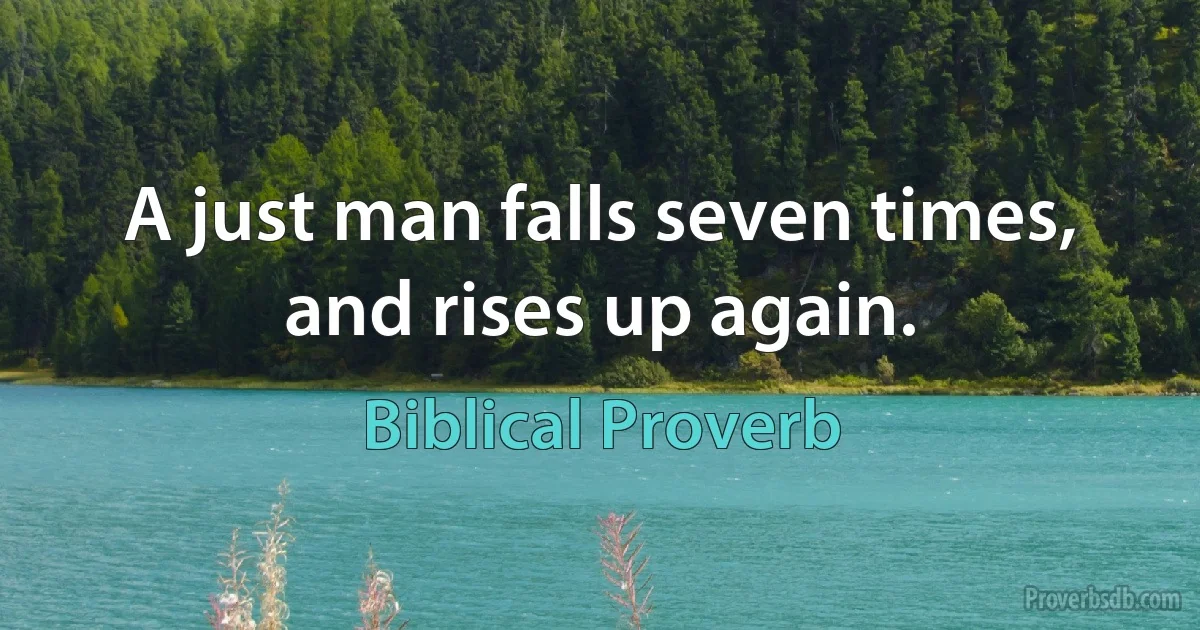 A just man falls seven times, and rises up again. (Biblical Proverb)