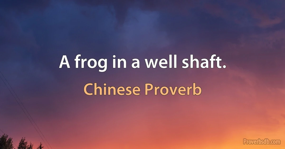 A frog in a well shaft. (Chinese Proverb)