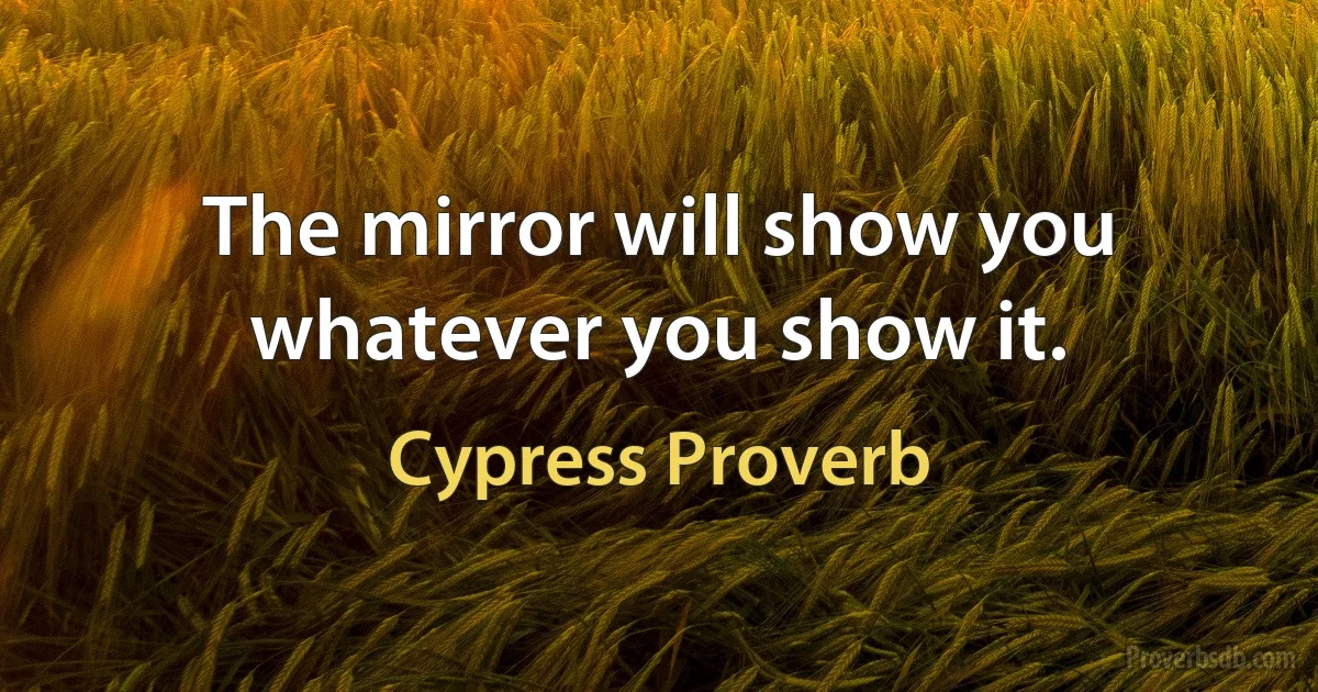 The mirror will show you whatever you show it. (Cypress Proverb)