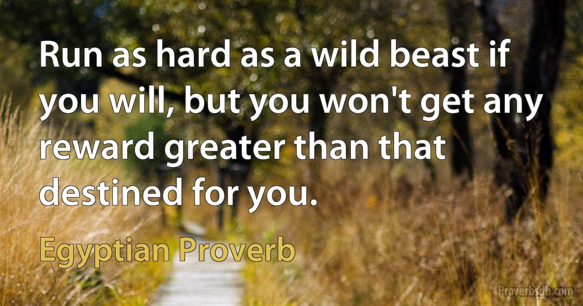 Run as hard as a wild beast if you will, but you won't get any reward greater than that destined for you. (Egyptian Proverb)