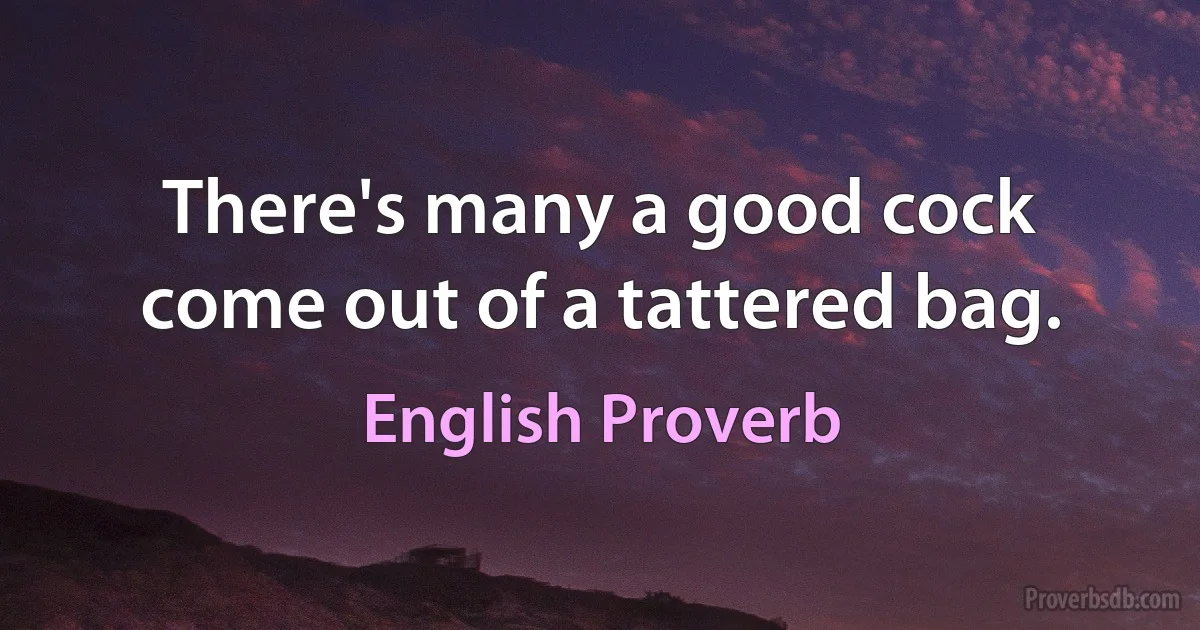 There's many a good cock come out of a tattered bag. (English Proverb)