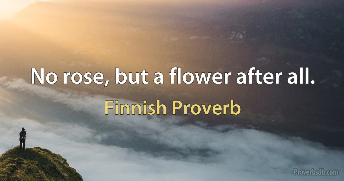 No rose, but a flower after all. (Finnish Proverb)