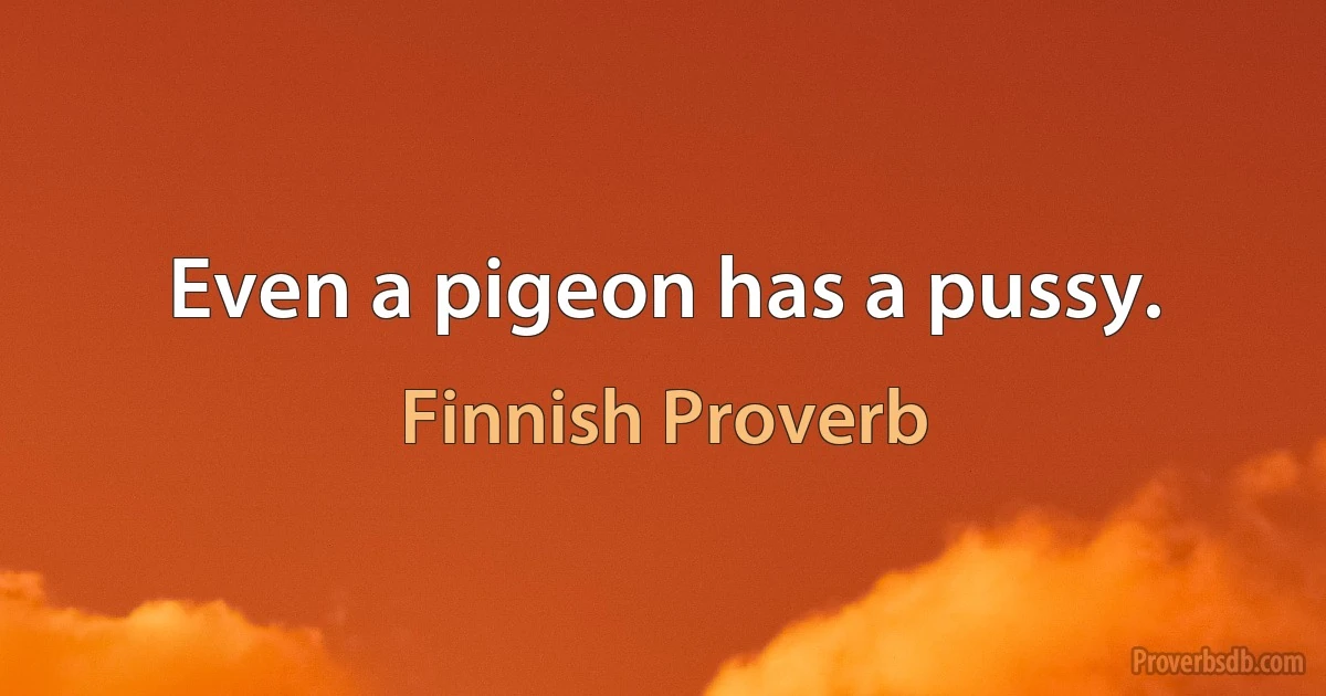 Even a pigeon has a pussy. (Finnish Proverb)