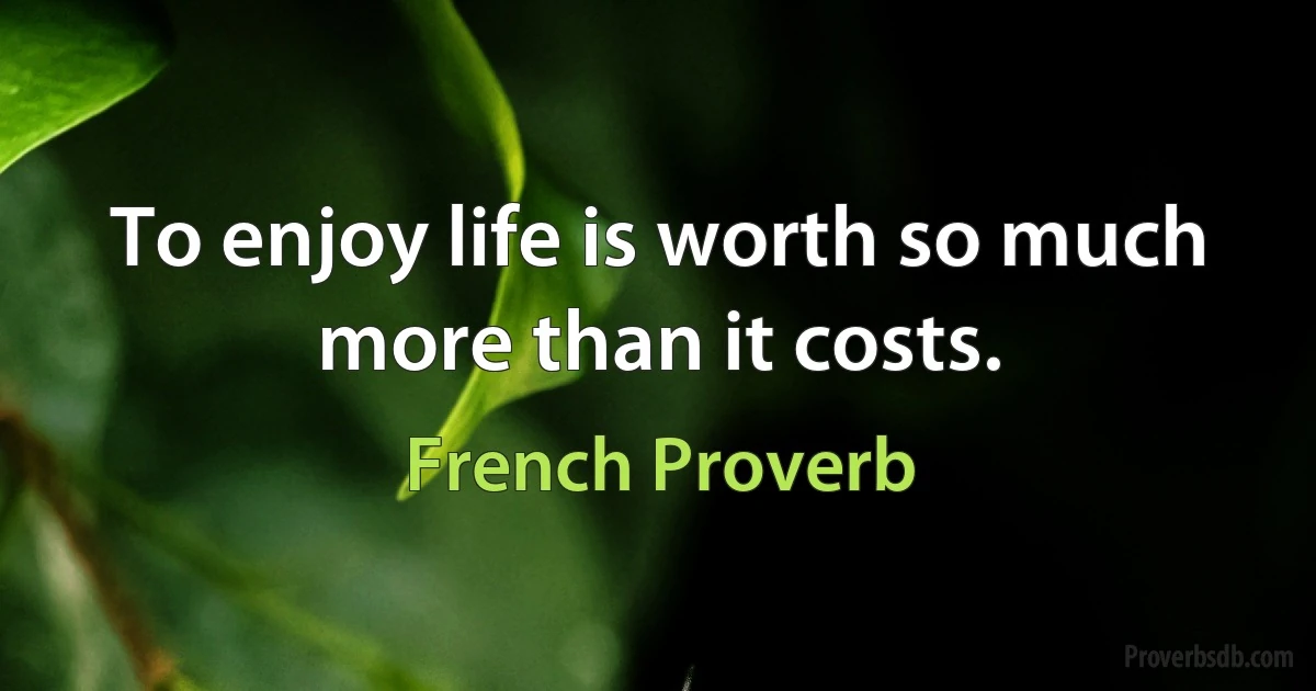 To enjoy life is worth so much more than it costs. (French Proverb)