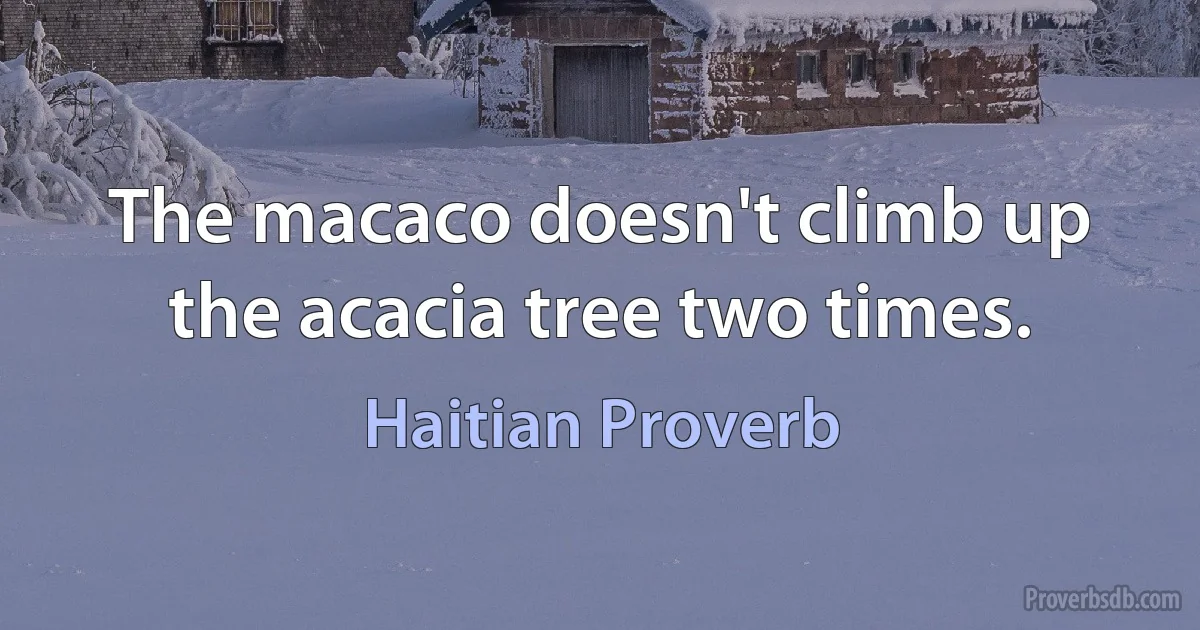 The macaco doesn't climb up the acacia tree two times. (Haitian Proverb)