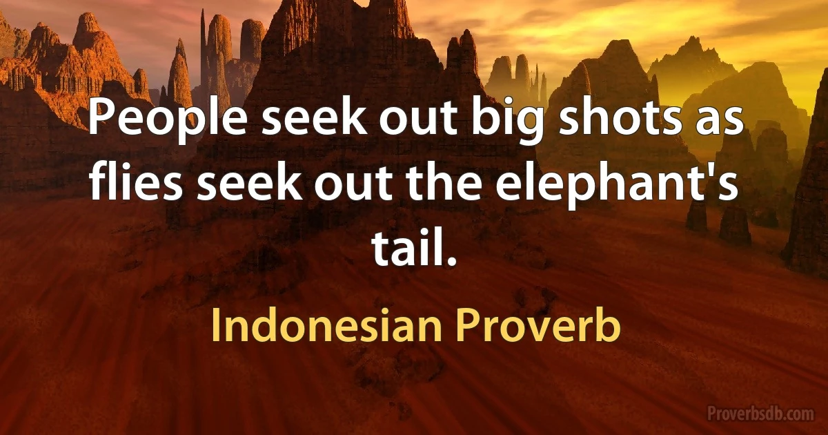 People seek out big shots as flies seek out the elephant's tail. (Indonesian Proverb)