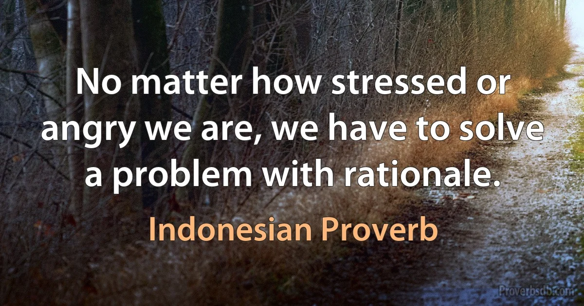 No matter how stressed or angry we are, we have to solve a problem with rationale. (Indonesian Proverb)