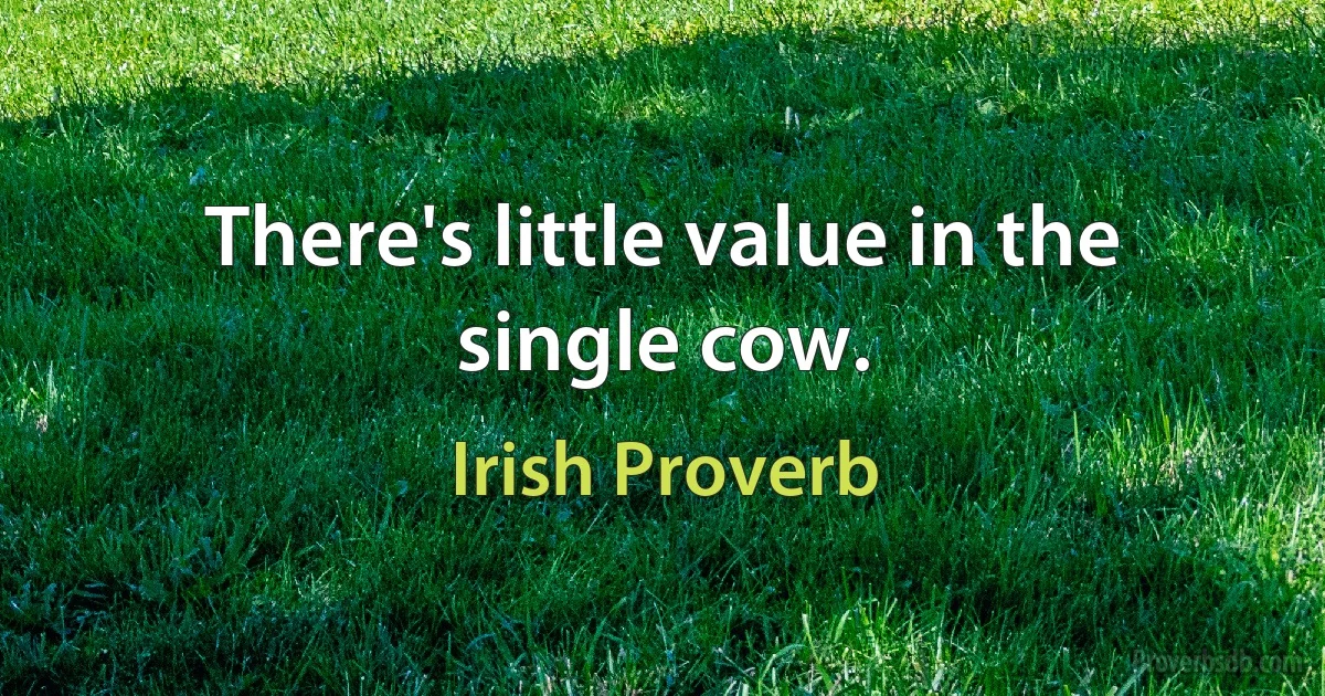 There's little value in the single cow. (Irish Proverb)