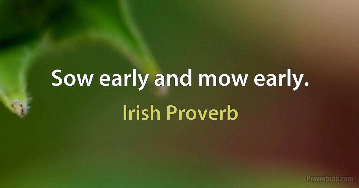 Sow early and mow early. (Irish Proverb)