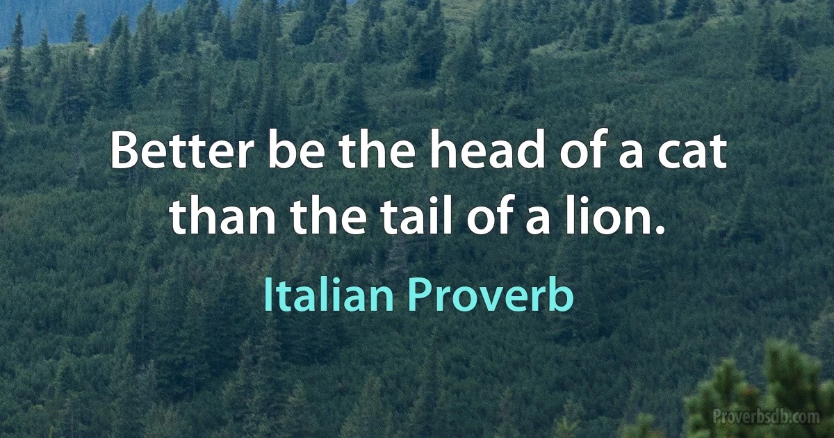 Better be the head of a cat than the tail of a lion. (Italian Proverb)