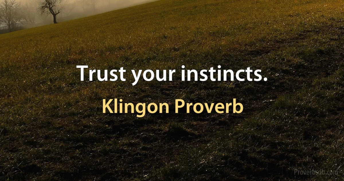 Trust your instincts. (Klingon Proverb)