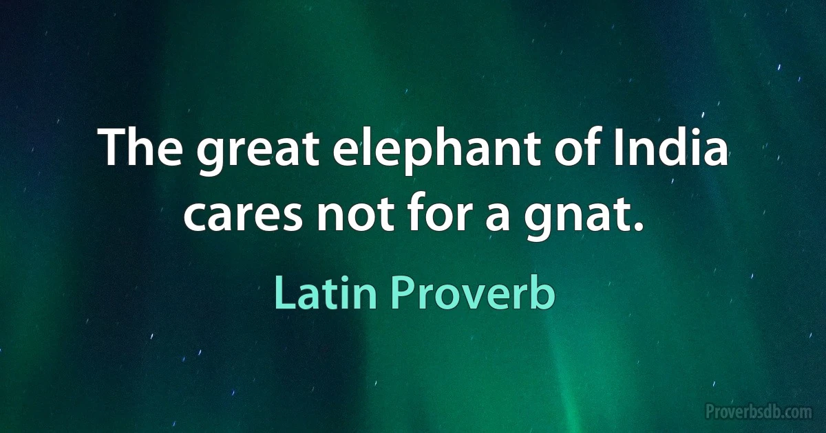 The great elephant of India cares not for a gnat. (Latin Proverb)