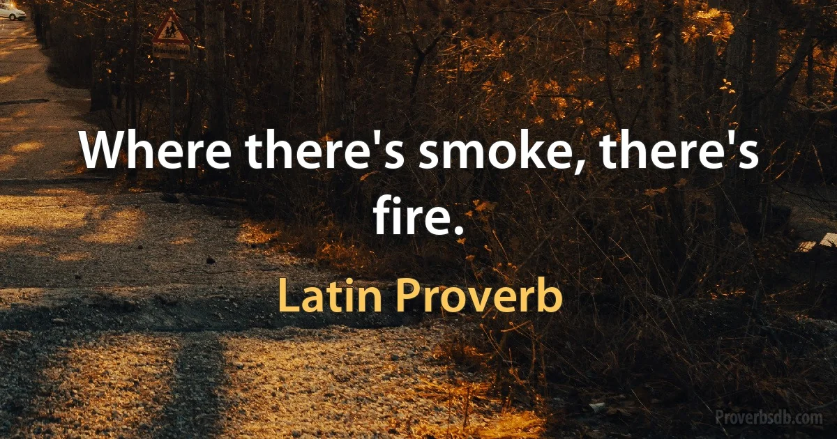 Where there's smoke, there's fire. (Latin Proverb)