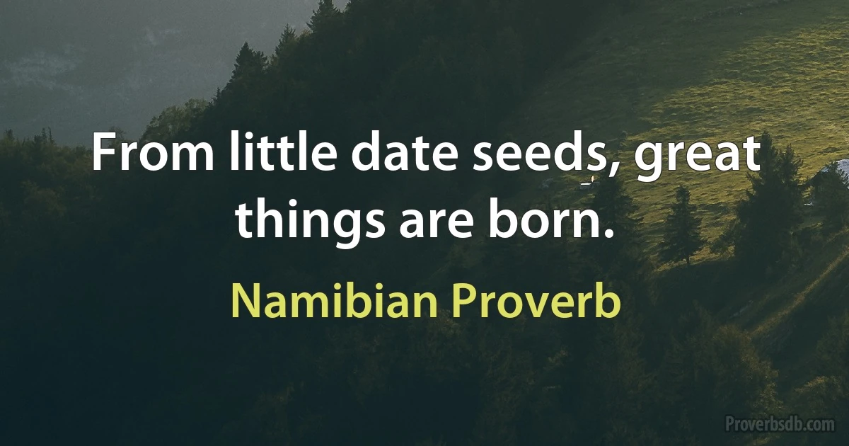 From little date seeds, great things are born. (Namibian Proverb)