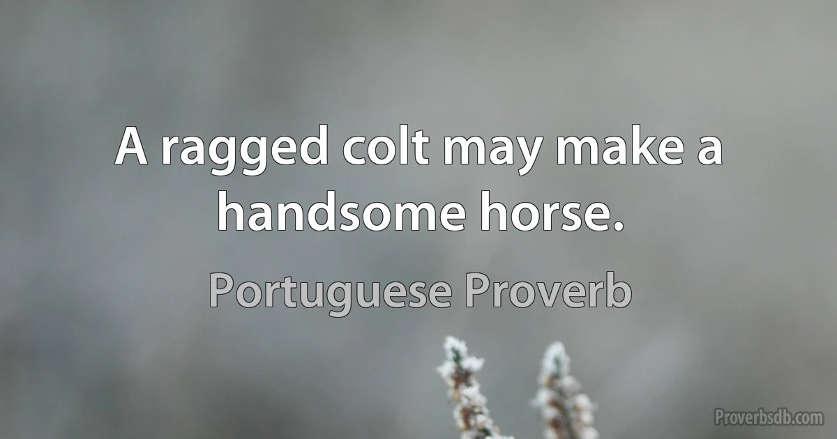 A ragged colt may make a handsome horse. (Portuguese Proverb)