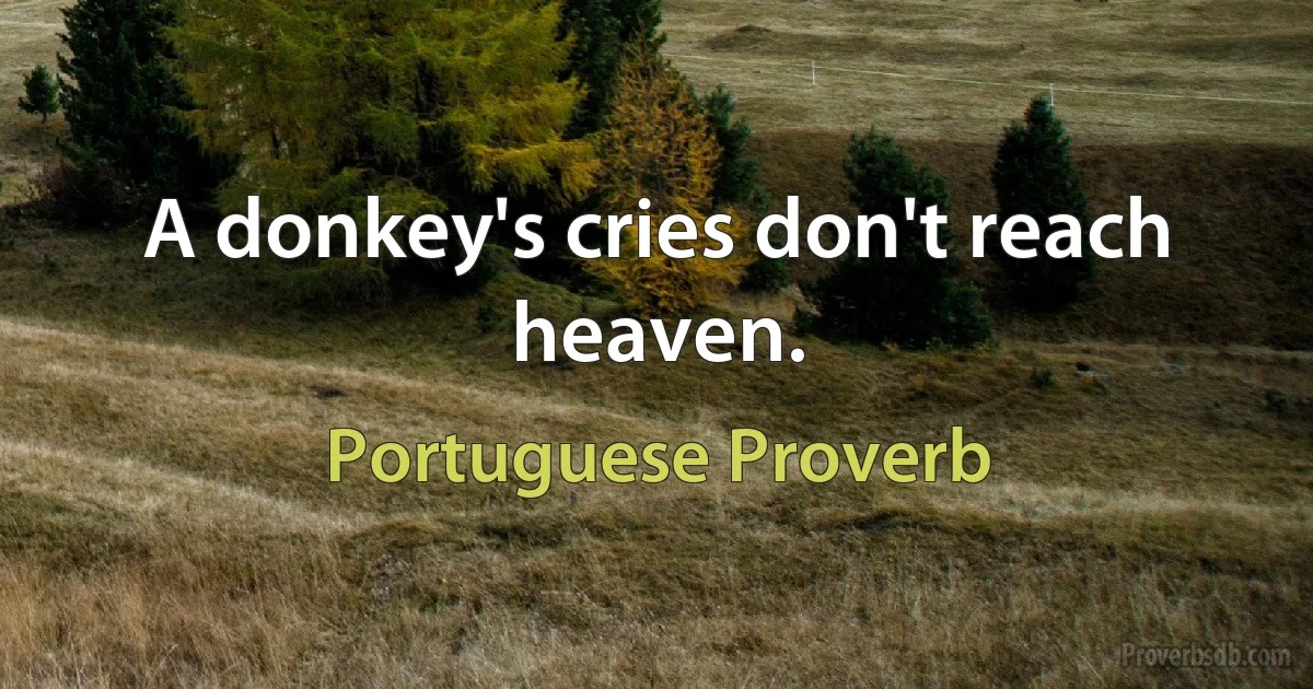 A donkey's cries don't reach heaven. (Portuguese Proverb)