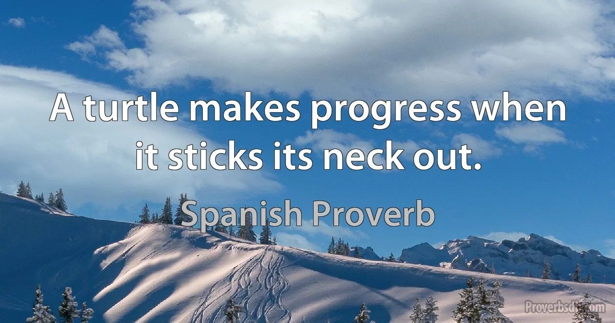 A turtle makes progress when it sticks its neck out. (Spanish Proverb)