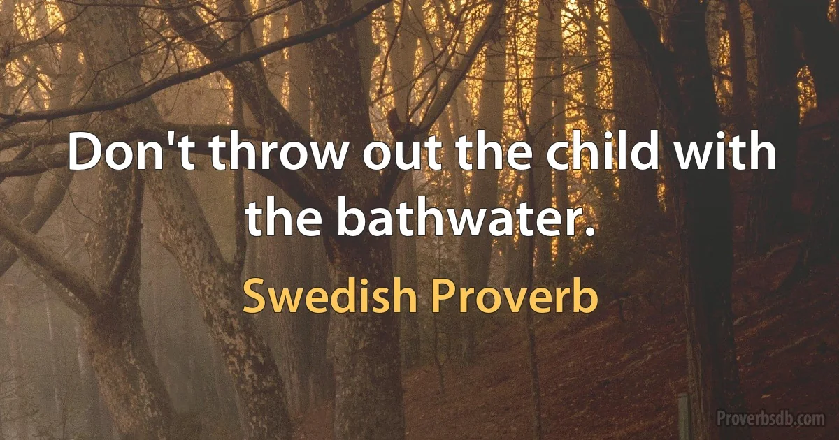 Don't throw out the child with the bathwater. (Swedish Proverb)