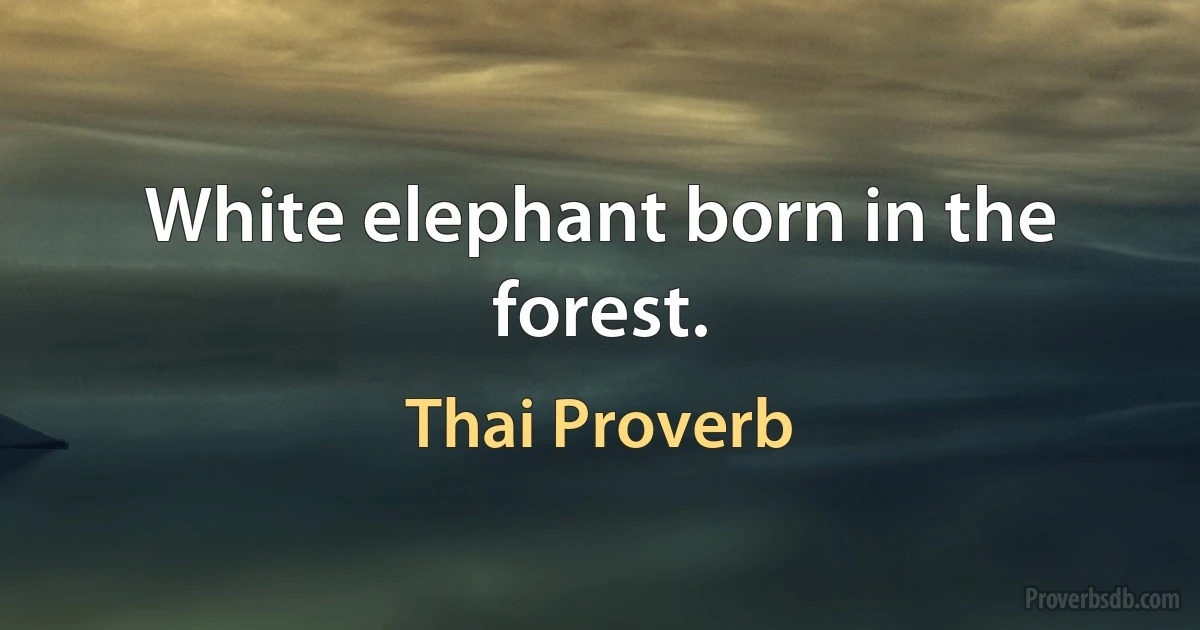 White elephant born in the forest. (Thai Proverb)