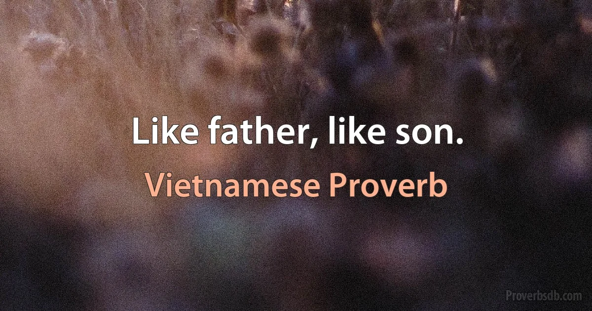 Like father, like son. (Vietnamese Proverb)