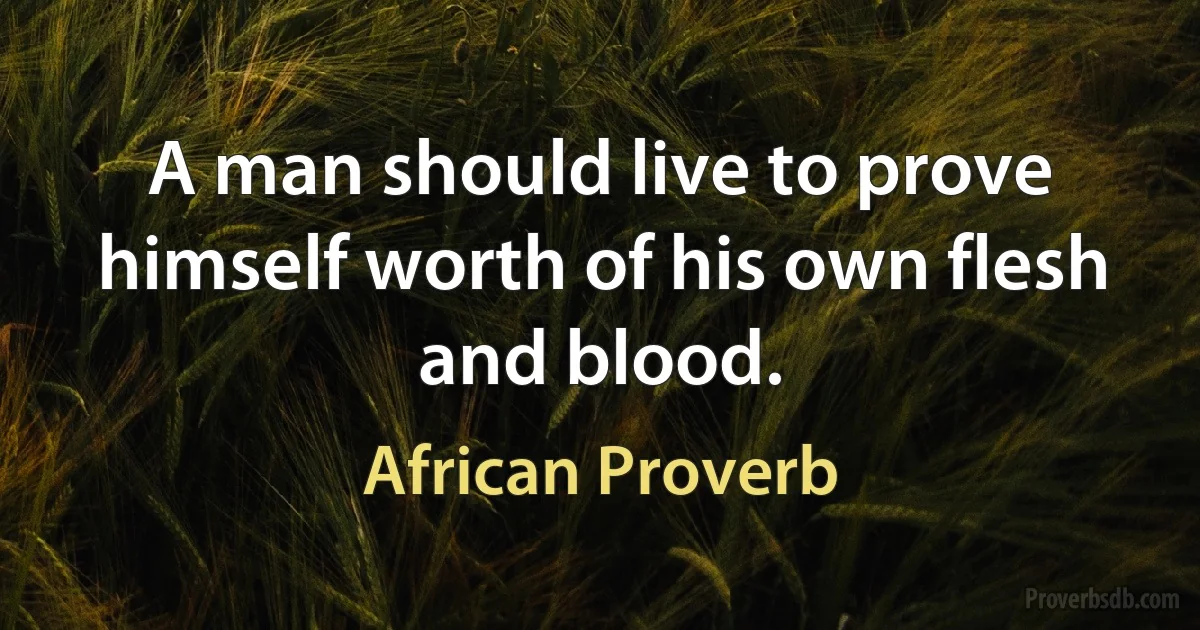 A man should live to prove himself worth of his own flesh and blood. (African Proverb)