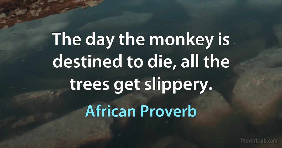 The day the monkey is destined to die, all the trees get slippery. (African Proverb)