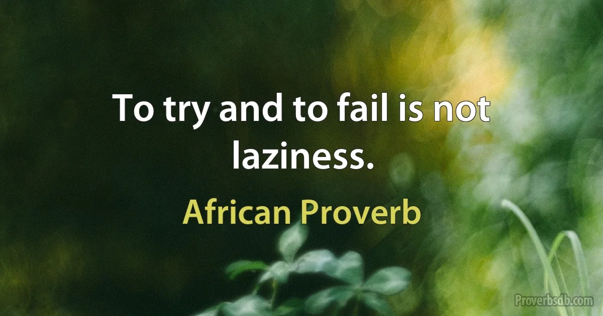 To try and to fail is not laziness. (African Proverb)