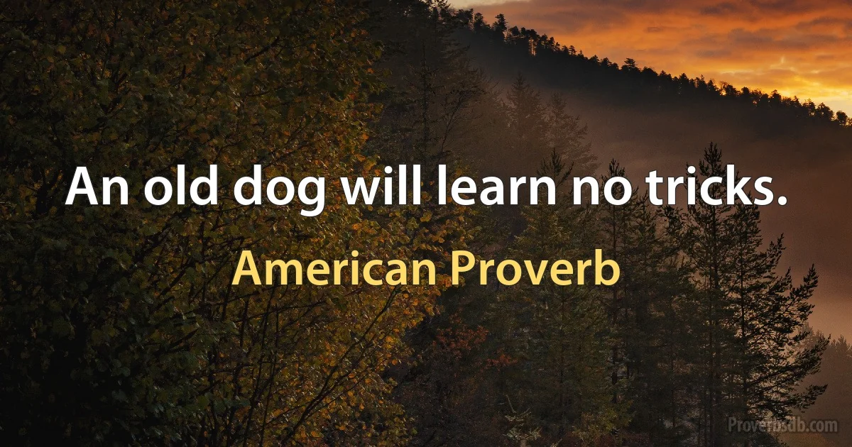 An old dog will learn no tricks. (American Proverb)