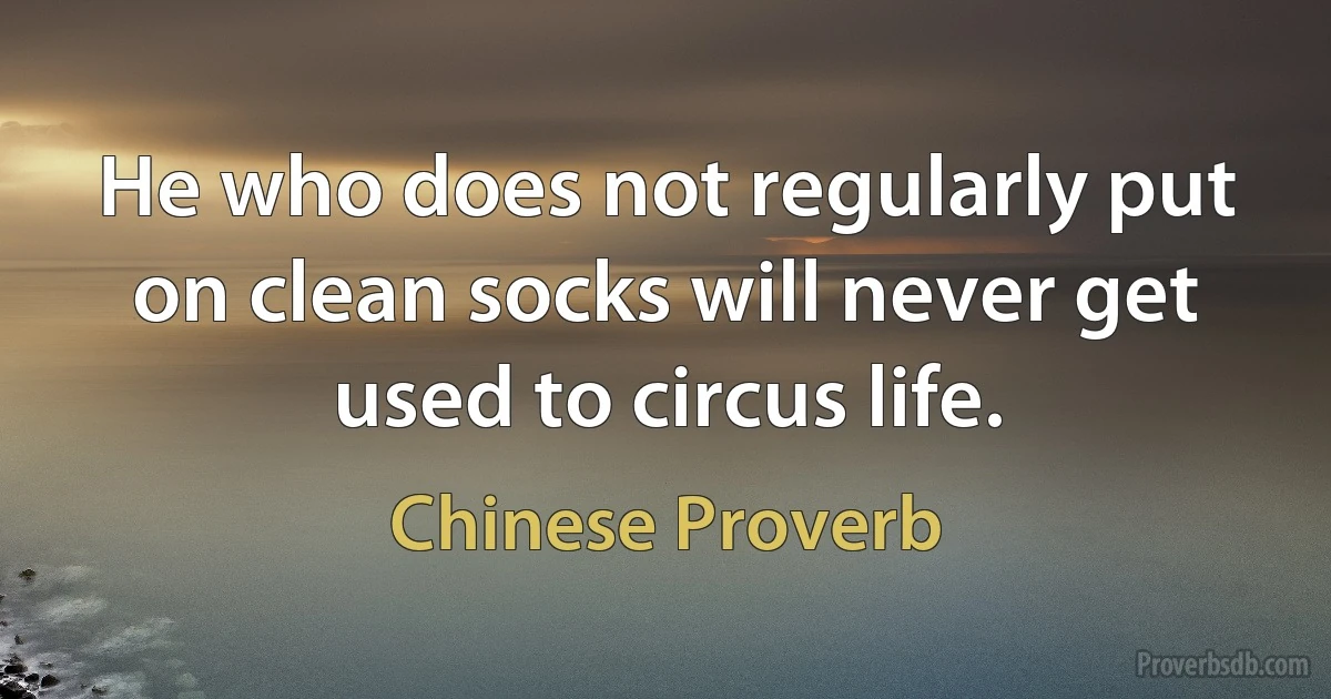 He who does not regularly put on clean socks will never get used to circus life. (Chinese Proverb)