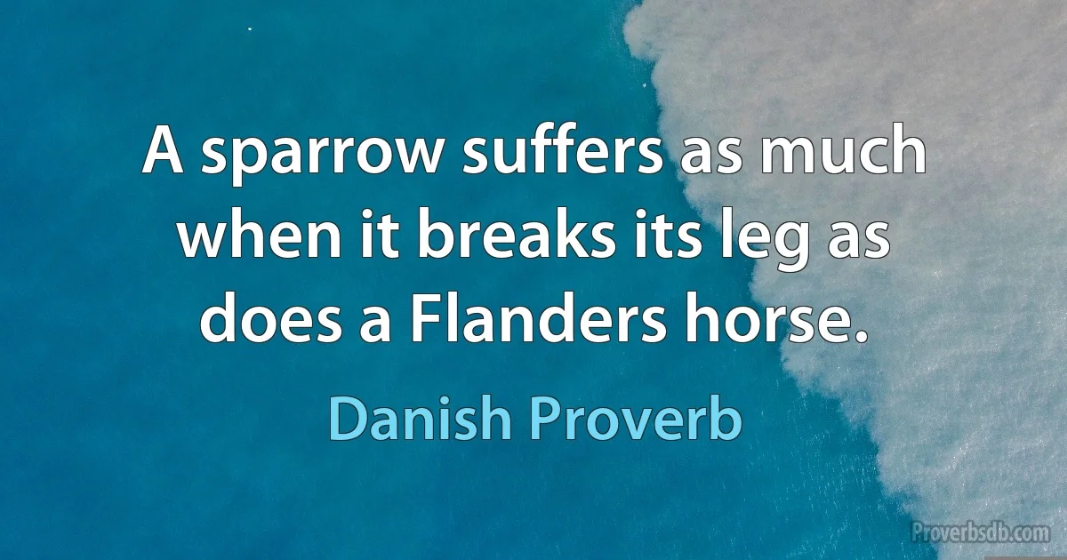 A sparrow suffers as much when it breaks its leg as does a Flanders horse. (Danish Proverb)