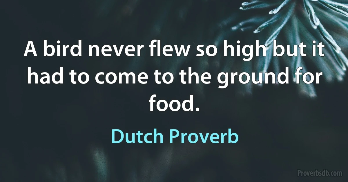 A bird never flew so high but it had to come to the ground for food. (Dutch Proverb)