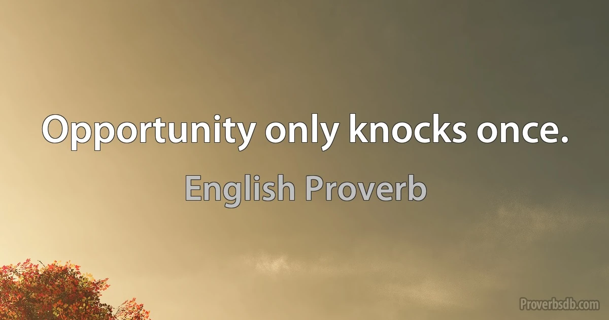 Opportunity only knocks once. (English Proverb)