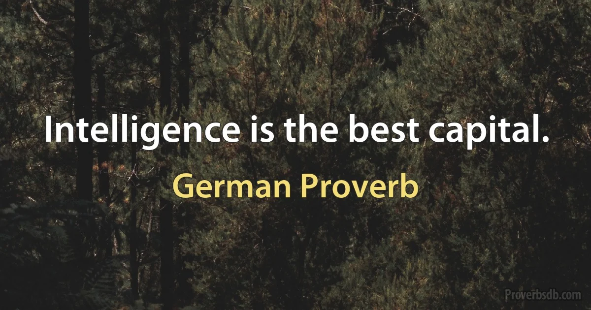 Intelligence is the best capital. (German Proverb)