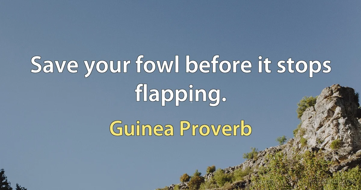 Save your fowl before it stops flapping. (Guinea Proverb)