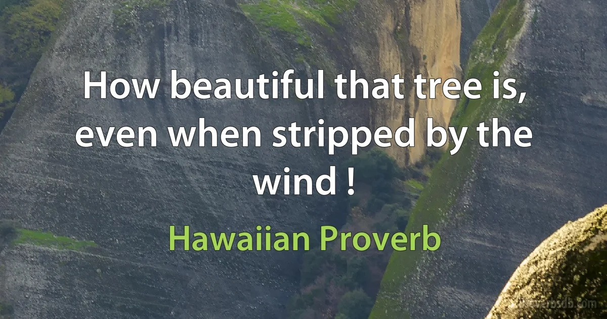 How beautiful that tree is, even when stripped by the wind ! (Hawaiian Proverb)